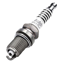 Spark Plugs
